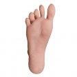 Regular foot