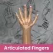 Articulated fingers